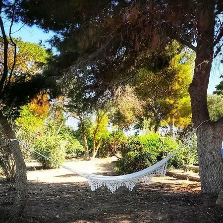 Cocciu D 'amuri *